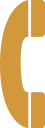 Phone Icon